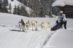 Kandersteg 2013